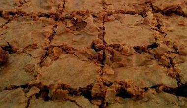 Errori Ben Riusciti Errori Fatti Con Metodo