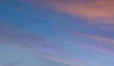 Maple Header Innovation Consulting 2021