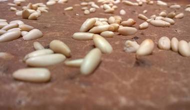 Pinoli E Service Design