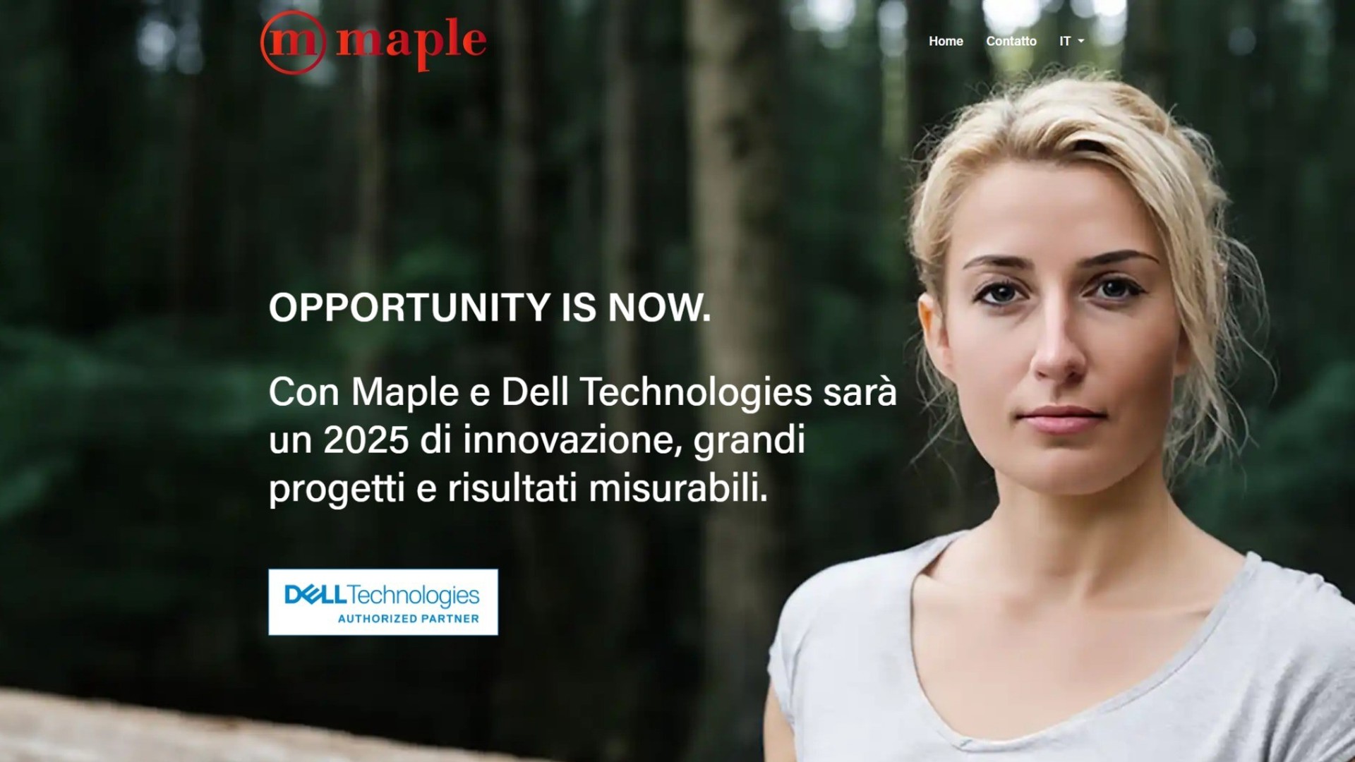 Screenshot Dell.Maple.It