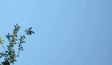 Si Sono Dissolte Le Nuvole